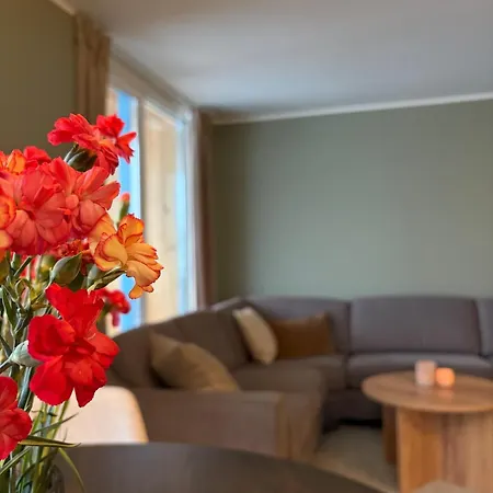 Appartement Modern In